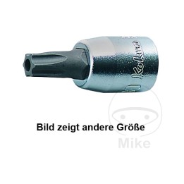 torx-schraubendreherbit mit loch 1/4 t25