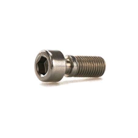 tornillo evolution