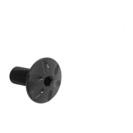 swingarm screw replacement inf. aire sl #27