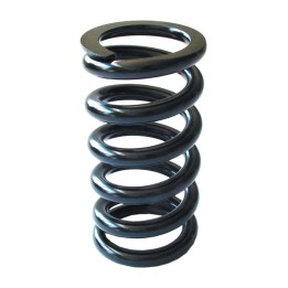 replacement spring for rear suspension 110mm 200mm 385kg rs-x02