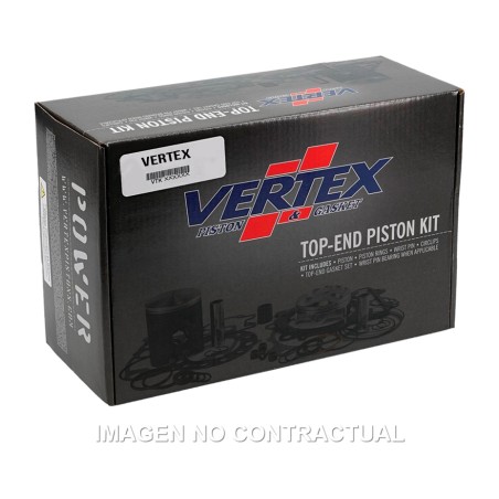 kit pistone con segmenti e gabbia ad aghi