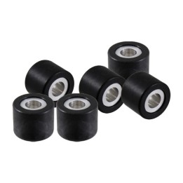 kit de galets de variateur pour scooter 19x15,5 mm 6,5 g 100.450.650
