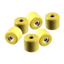 variator roller kit for scooter 19x17 mm 10 g 100.400.272