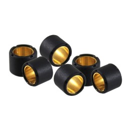 variator roller kit for scooter 19x15,5 mm 6,8 g 100.450.680