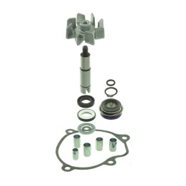 kit de reparació de bomba d'aigua 100.110.500
