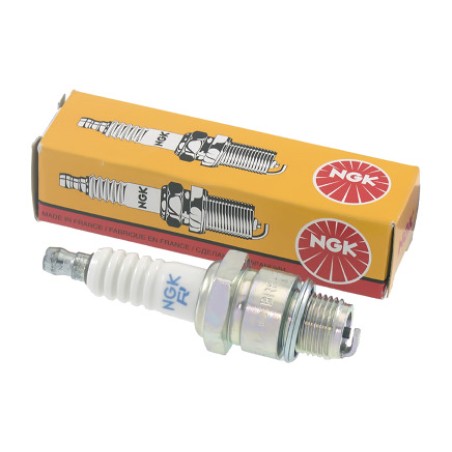 bugia d'encesa b10eg