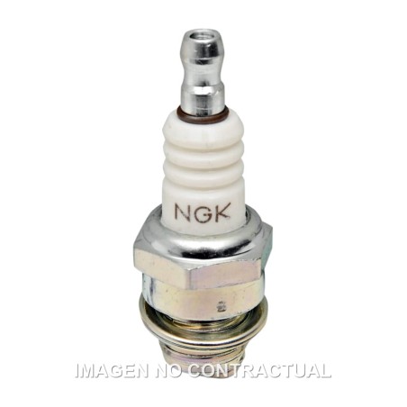 bugia d'encesa bpm6a