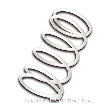 driven pulley spring blanco