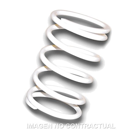driven pulley spring blanco