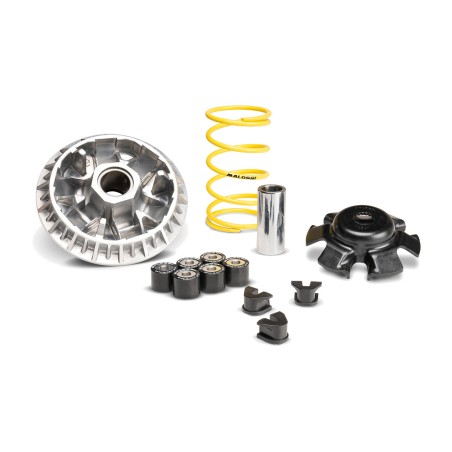 transmission variator multivar