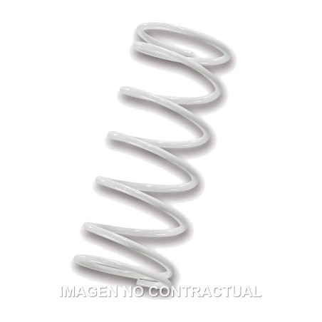driven pulley spring blanco