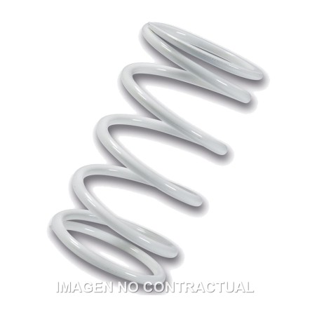 driven pulley spring blanco