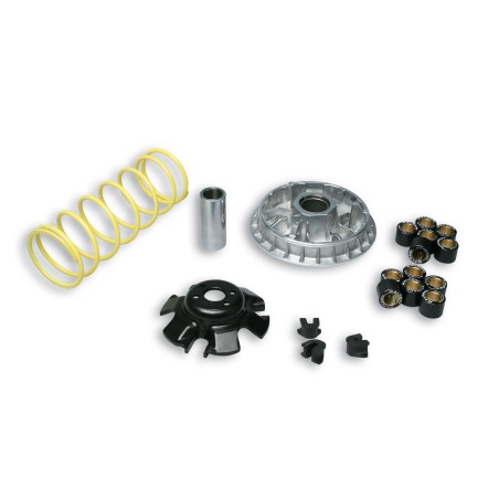 variator multivar 5113892