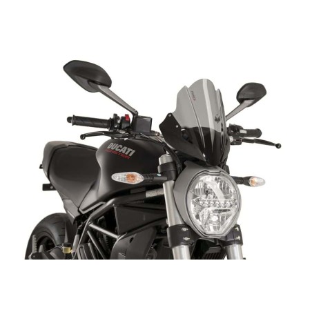 windshield touring