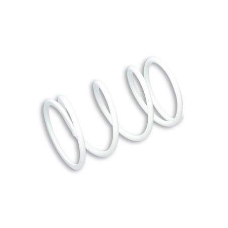 förstärkt kopplingsfjäder blanco 2913316.w0