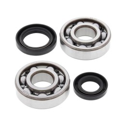 kit cuscinetti e guarnizioni albero motore 24-1075
