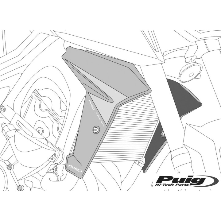 Radiator cover caps