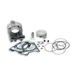 uitrusting, motor cilinder, rondsels, compleet 3113955