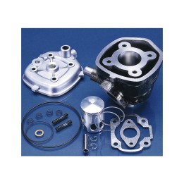 kit cilindro pistone motore d 40 (1660094)