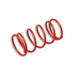 red extra reinforced clutch contrast spring malossi 29 7046.r0