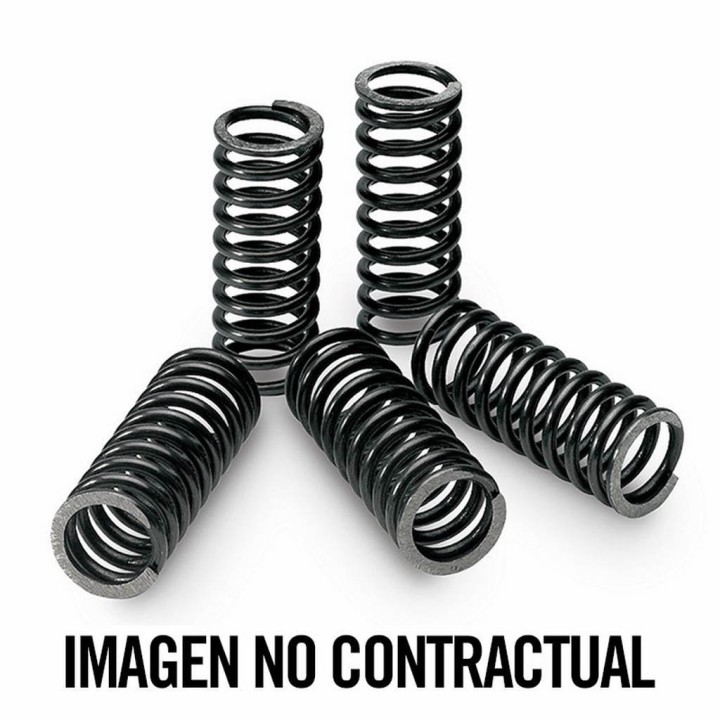 TECNIUM KIT, CLUTCH SPRING 18464