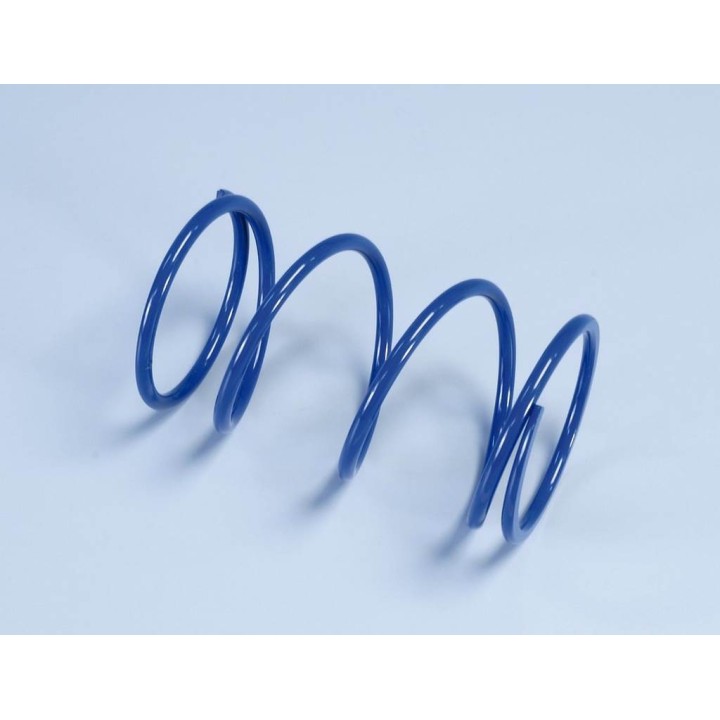 POLINI contrast springs for variator - spring counterspring PLN243082