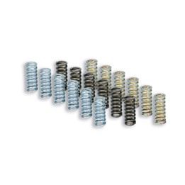 kit, clutch spring (9u) mhr oem 2915398