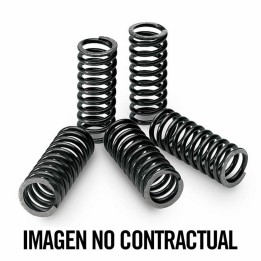 TECNIUM clutch spring kit - 5 springs of 18mm and 39mm height 18434