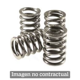 KIT, CLUTCH SPRING