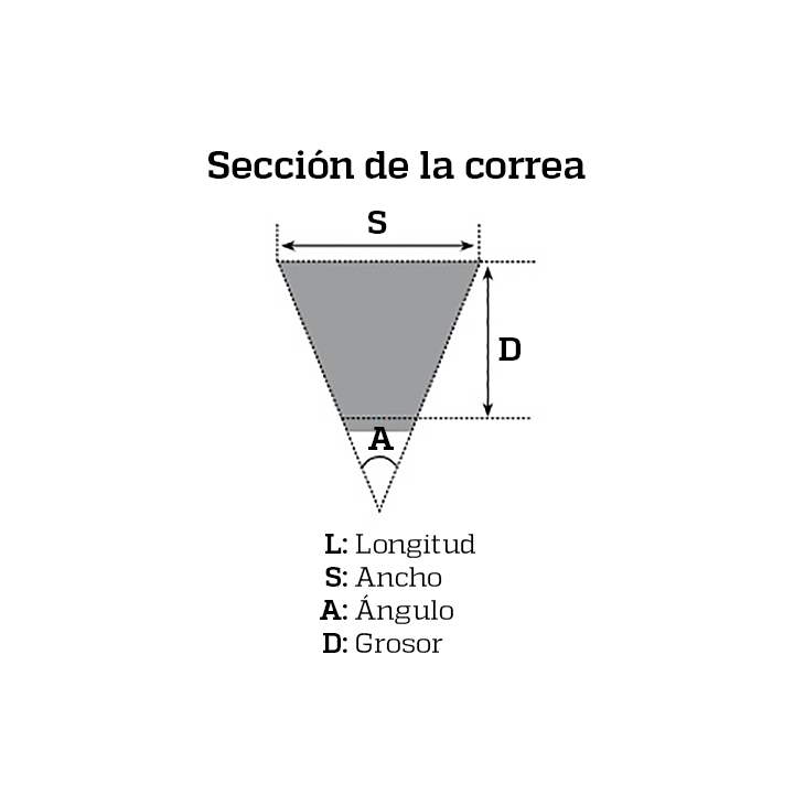BANDO Correa de transmision 100206