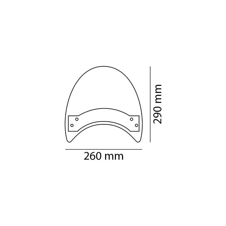 PUIG Carenabris ROADSTER Windshield Screen for custom or naked motorcycles 5931