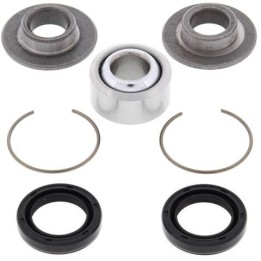 lower bearing kit for quad rear shock absorber