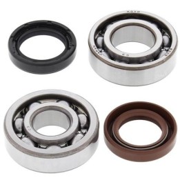 kit de rodaments i retens de cigonyal 24-1072