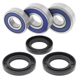all balls rear wheel bearing kit for long-term replacement