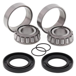 kit of bearings, seals and bushings for all balls motorcycle swingarm