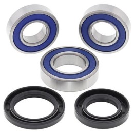all balls rear wheel bearing repair kit for bicycles