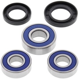 bicycle rear wheel bearing kit