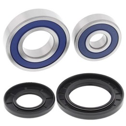 kit rodaments roda del darrere