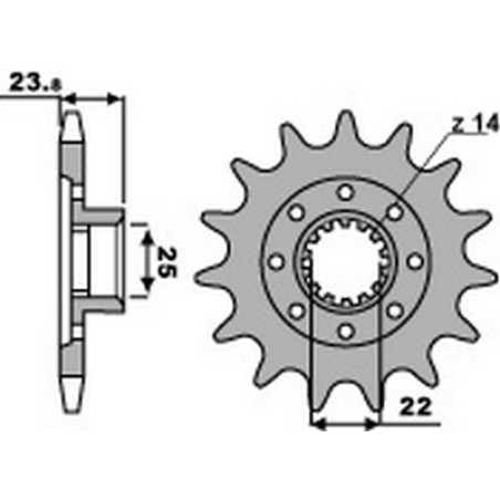 pignone catena 525