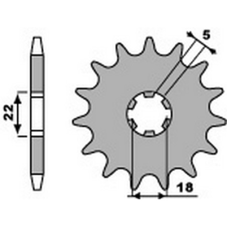 pignone catena 520