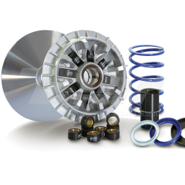 variator med 12 ruller hi-speed 241.741