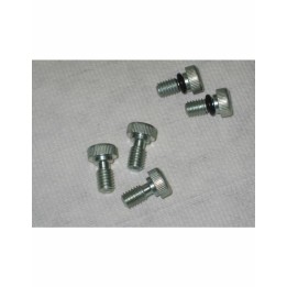 bleed screw