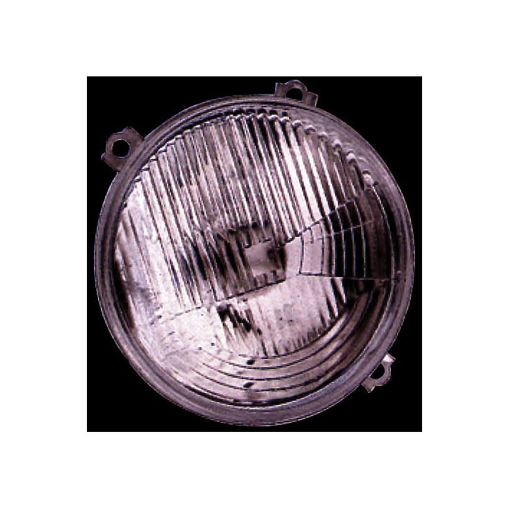 IPARLUX Left or right front indicator light 11910309