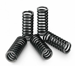 TECNIUM clutch spring kit with 5 springs of Ø 20mm and height 32mm 18433