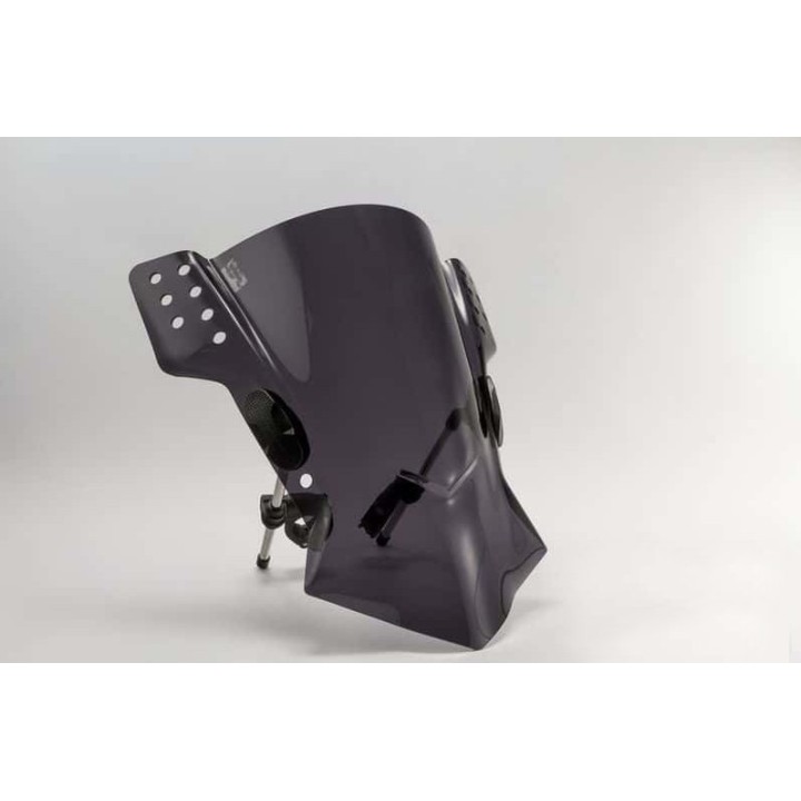 PUIG WINDSCREEN WINDSHIELD SCREEN RAFALE 6409