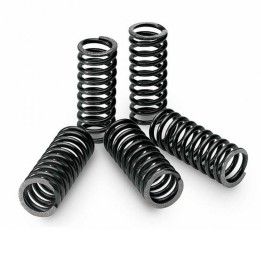 TECNIUM Kit de muelles embrague 5 unidades para motocicletas 18484