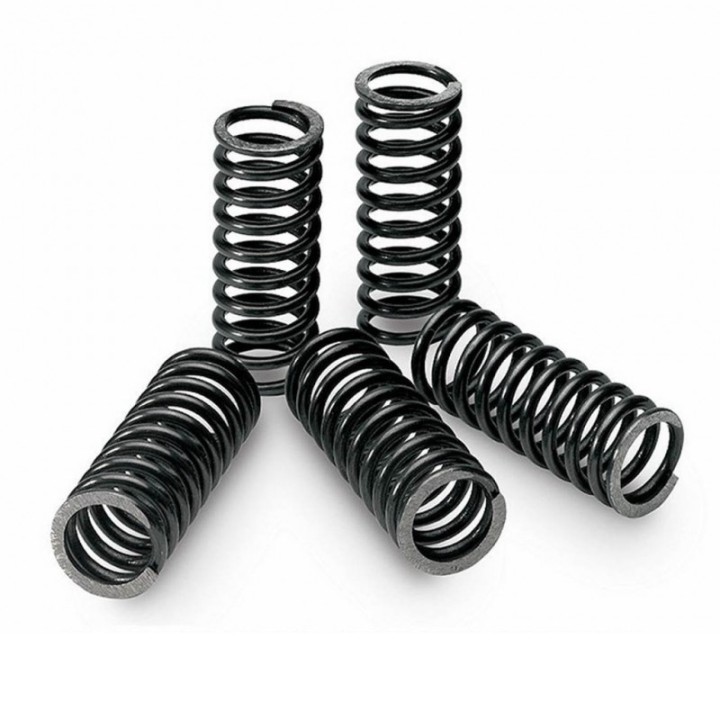 TECNIUM 5-unit clutch spring kit for motorcycles 18484
