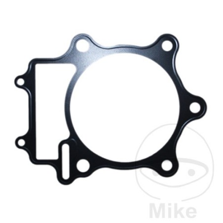 cylinder base gasket