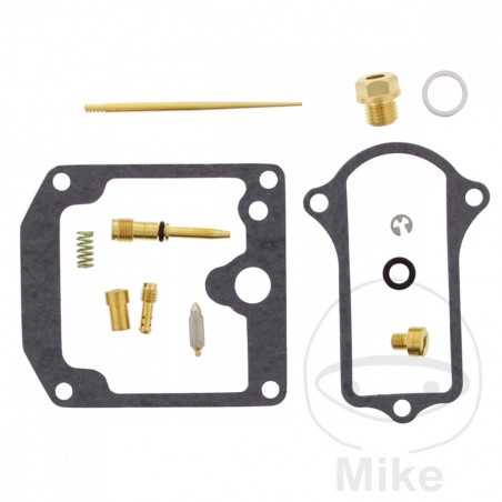 complete carburettor repair kit