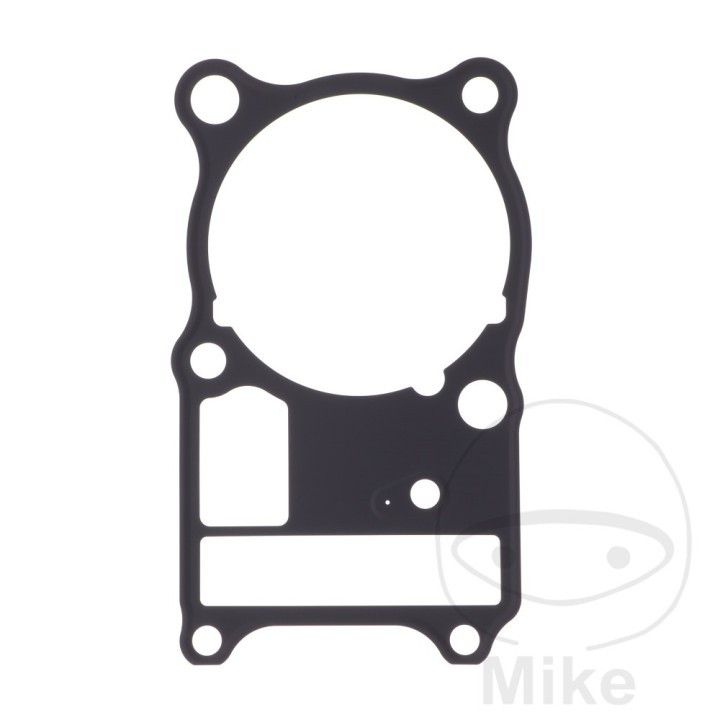 junta da base do cilindro OEM 734.46.60